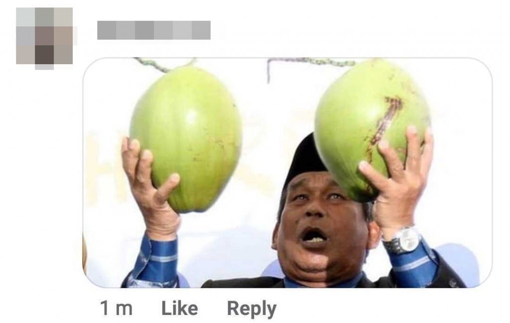 C Coconut 2