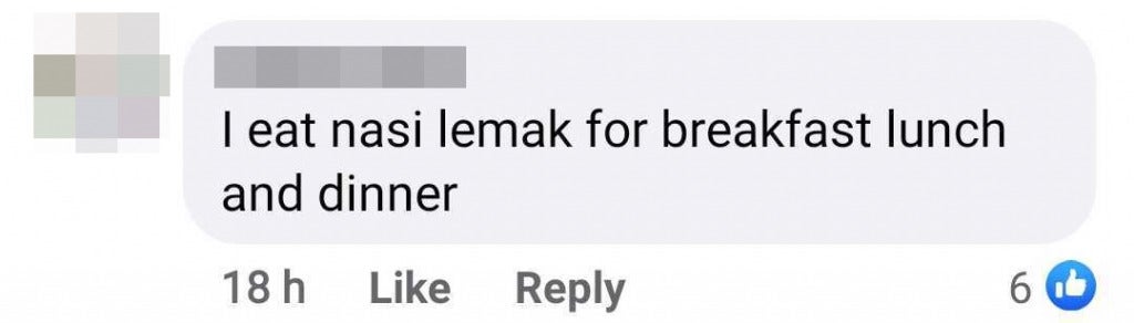 C Nasi Lemak