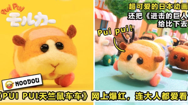 Pui Pui Featured 1