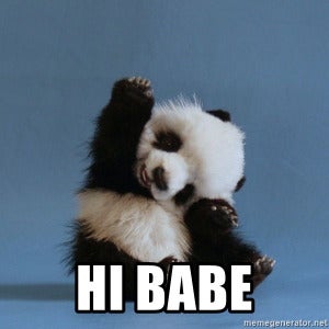 熊猫Say Hi