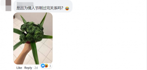 可能是情人节拿来应急了