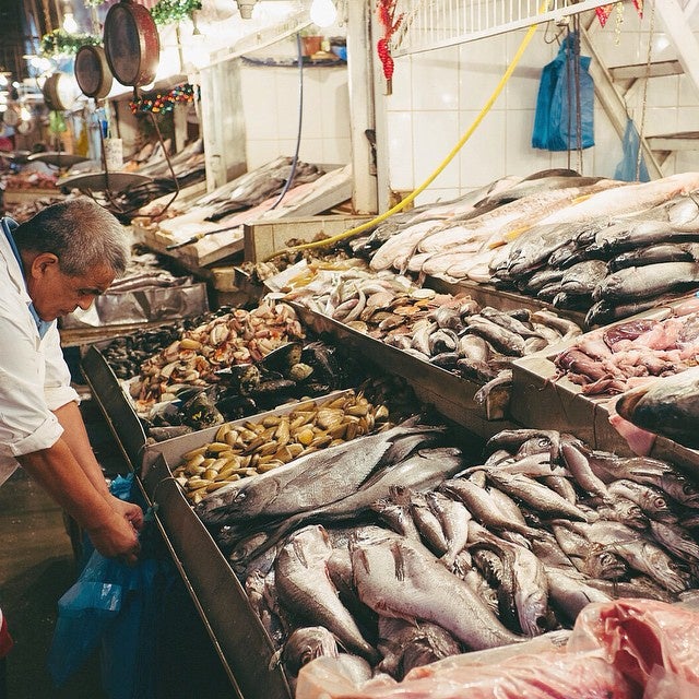 Senoko Fishery Port 1