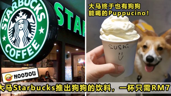 Starbucks Puppucinno Featured