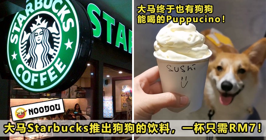 Starbucks Puppucinno Featured