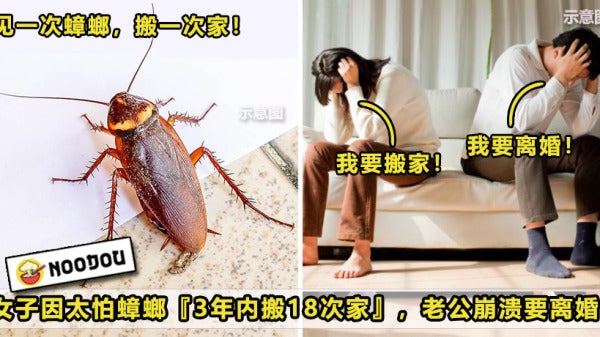 Cockroach Move House Featured