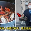 Lawyer Crab Featured