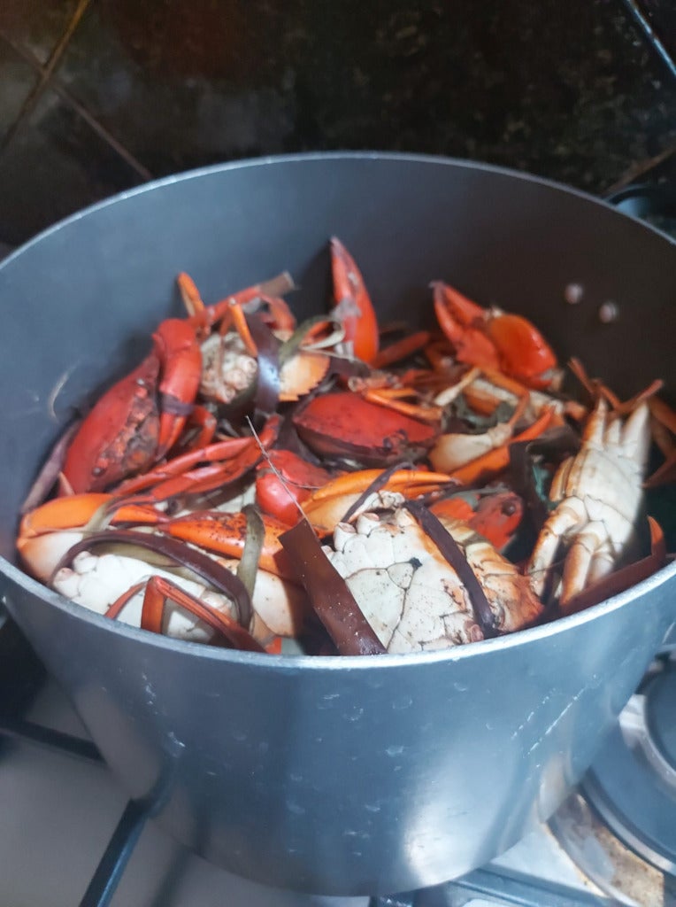 cooked crab in a bucket face
