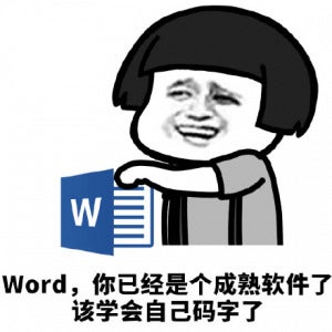 word你是个成熟的软件该学会自己码字了