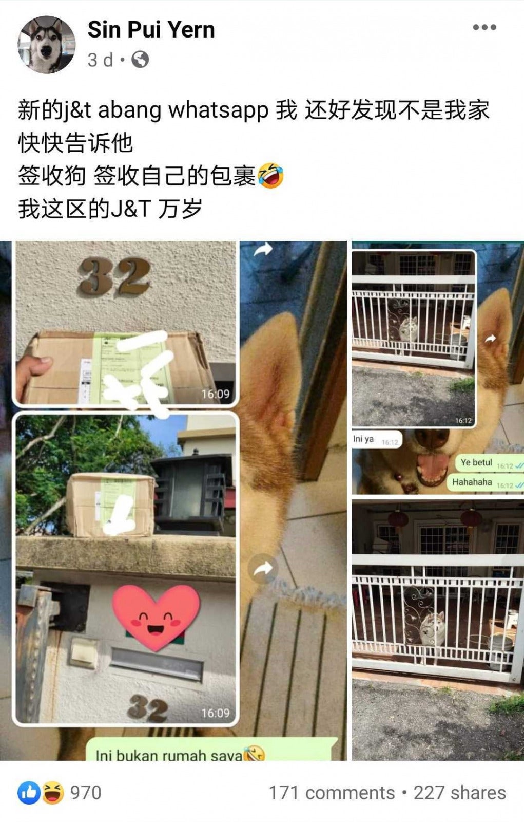 Husky helps owner to get parcel from abang delivery rider