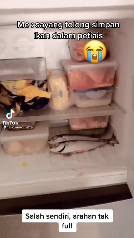 Ss2 Fish In Fridge Without Container