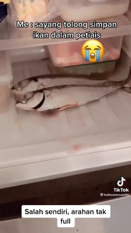 Ss3 Fish In Fridge Without Container