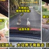 Ft Image 找鹅问路