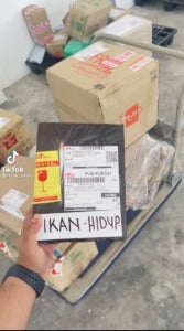 Ikan Hidup包裹