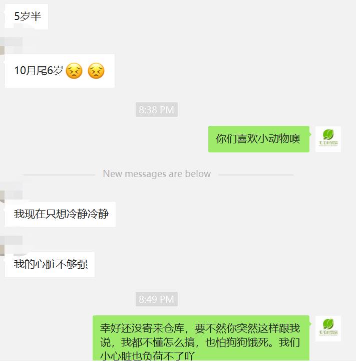 下单小狗7 10