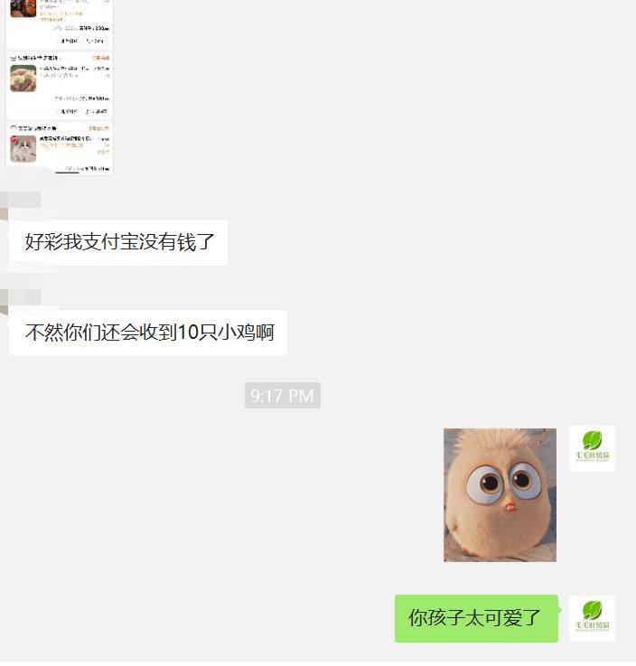 下单小狗8