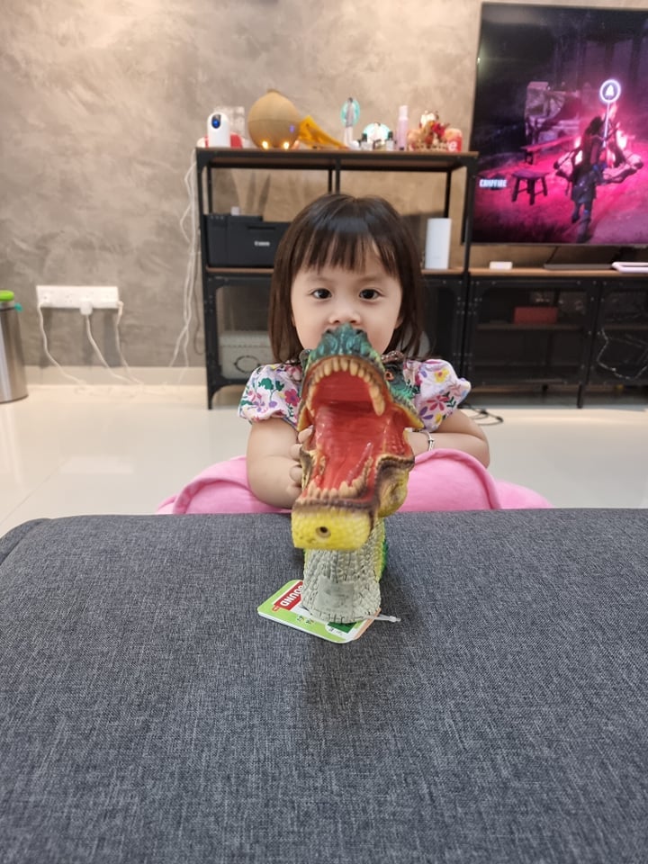 女儿喜欢恐龙玩具