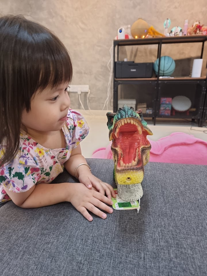 女儿喜欢恐龙玩具2