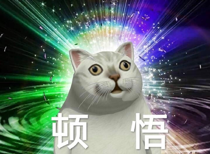 顿悟猫猫