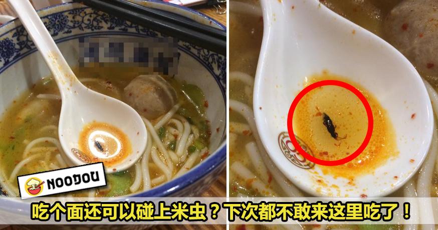 食物里有米虫