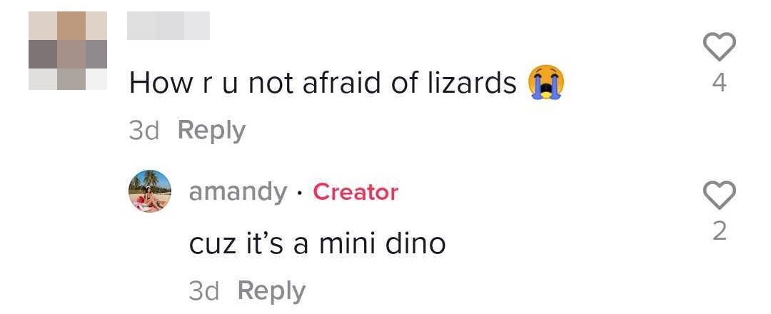 C dino