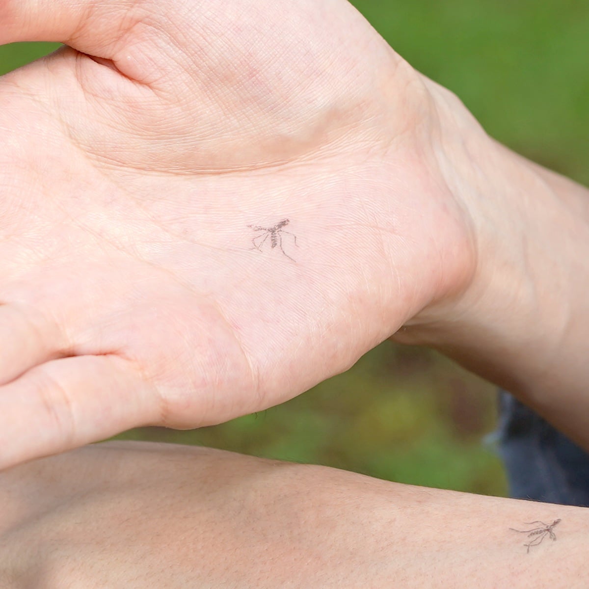 Mosquito Stamp On Hand