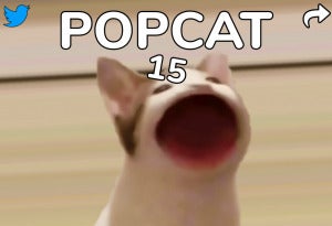 Popcat