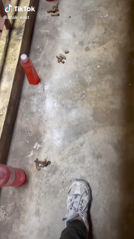 S2 Cat Poop Beside Red Syrup Water Bottle