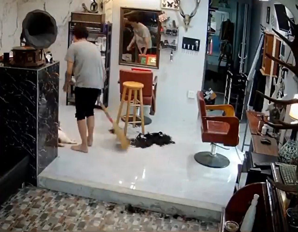 SS 1 Man plays with cat while sweeping the floor in a hair salon