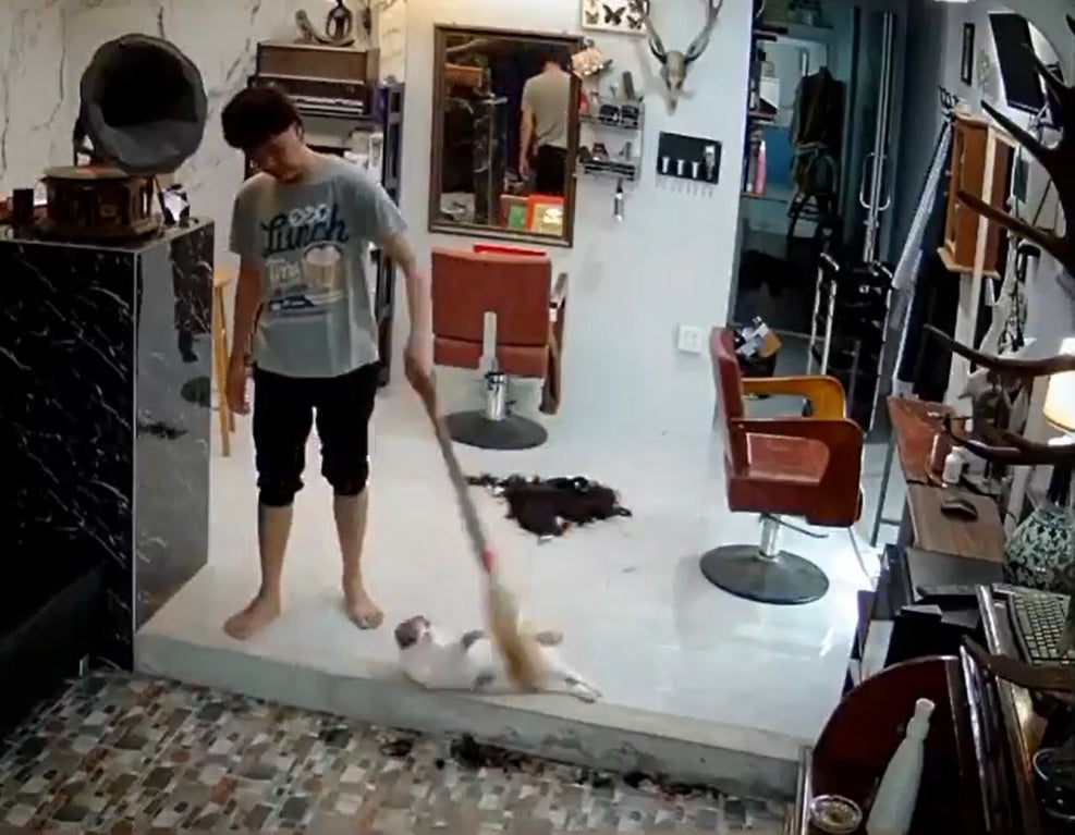 SS 4 Man plays with cat while sweeping the floor in a hair salon