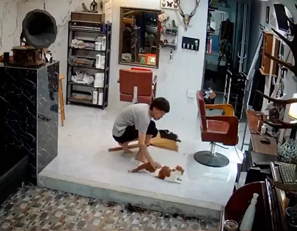 SS 5 Man plays with cat while sweeping the floor in a hair salon