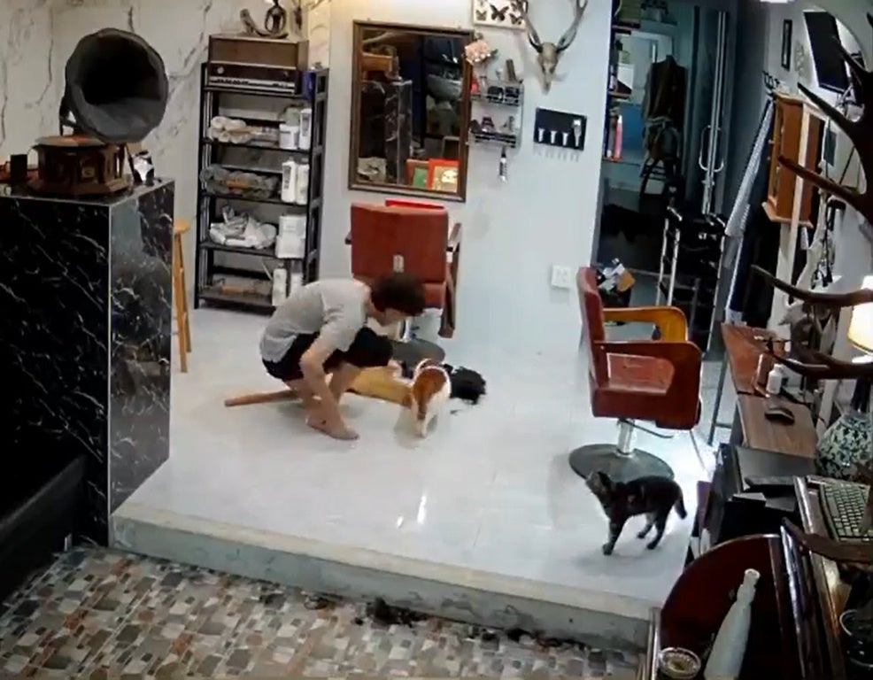 SS 8 Man plays with cat while sweeping the floor in a hair salon
