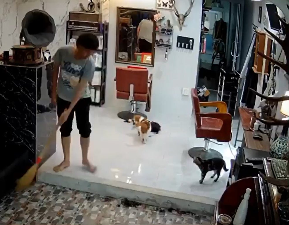 SS 9 Man plays with cat while sweeping the floor in a hair salon
