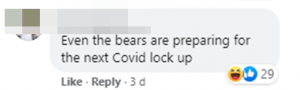 Facebook Comment Bear 01