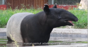 zoo negara malaysia 04