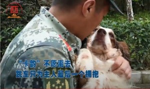 警犬服役期满退役 06