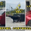 Bull Bang Car Featured