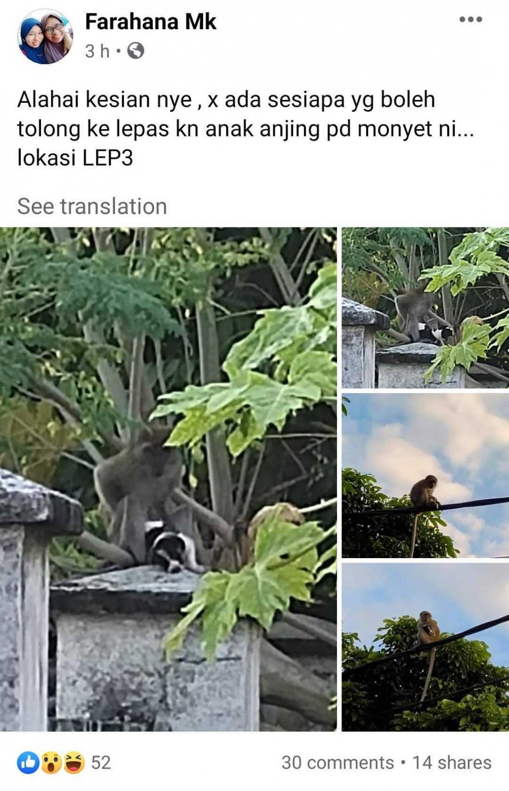 Fb post 2