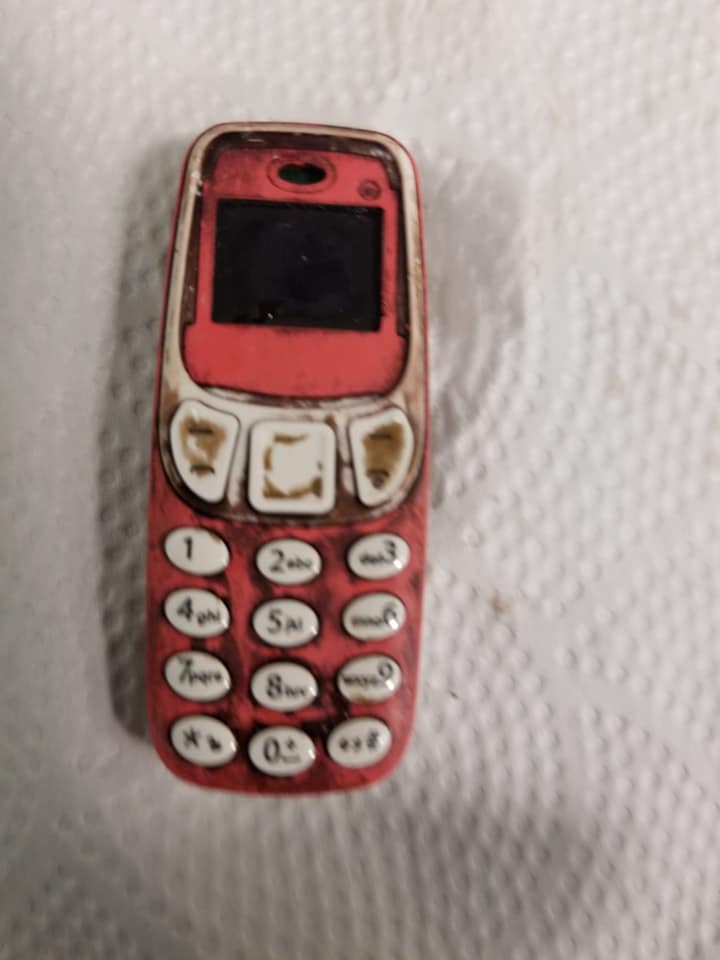 Nokia 3310 Swallowed