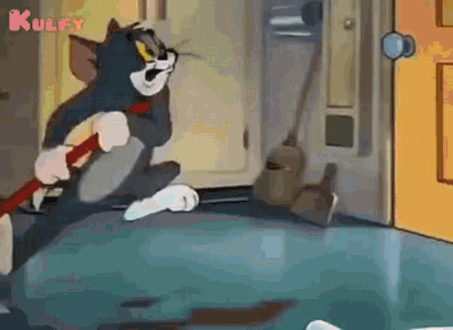 tom and jerry cleaning