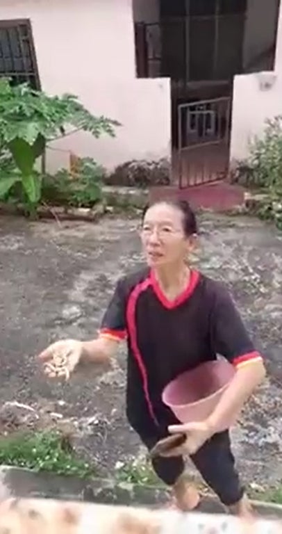 华裔aunty