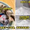 30 猫猫帮忙盖被5