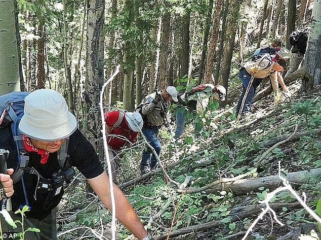 Dylan Redwine found forest