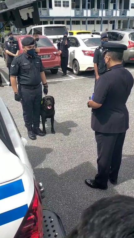 Pdrm Dog Black Receiving Cans And Treats During Gratitude Ceremony