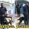 PDRM Dog Can Featured 1