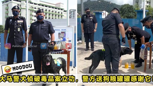 PDRM Dog Can Featured 1