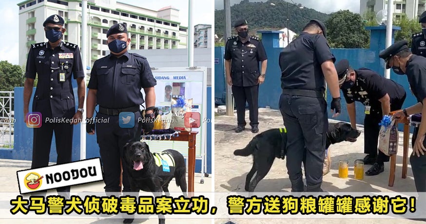 Pdrm Dog Can Featured 1