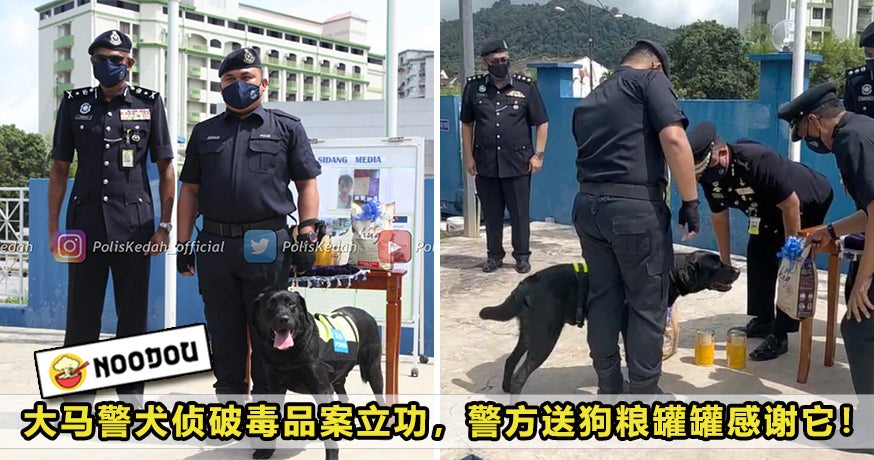 PDRM Dog Can Featured 1