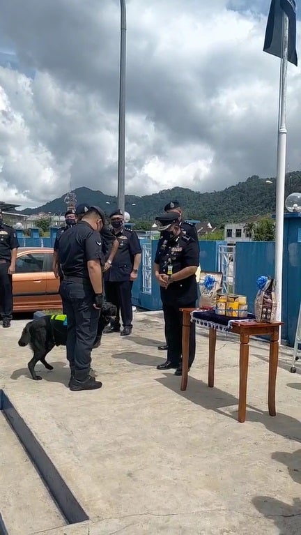 SS4 PDRM Dog Black receiving cans and treats during gratitude ceremony
