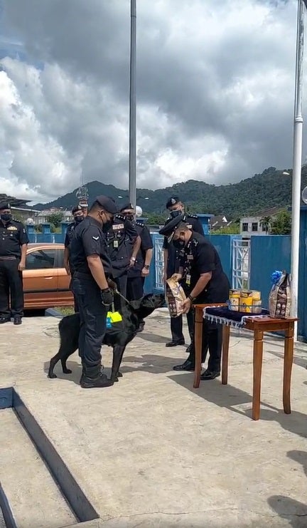 SS5 PDRM Dog Black receiving cans and treats during gratitude ceremony