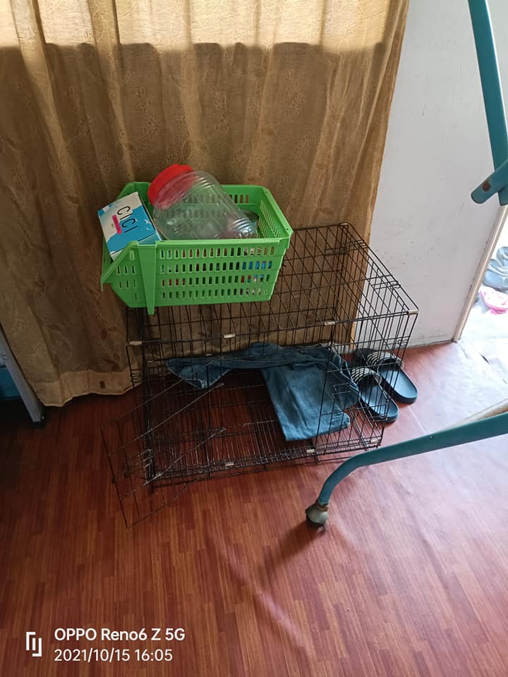 Cat Cage Messy Dirty Room In Rented House 2